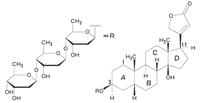 ジギトキシン ステロイド骨格のAB環、BC環、CD環のcis,trans 99回薬剤師国家試験問109の4